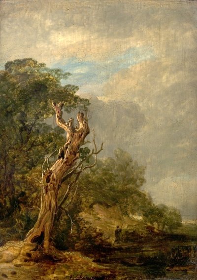 The Withered Tree by William Collins